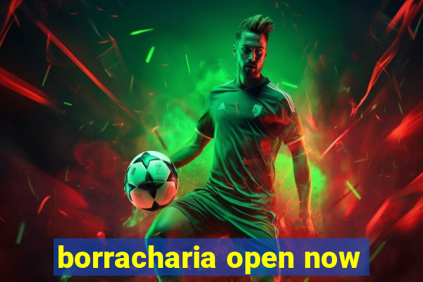 borracharia open now