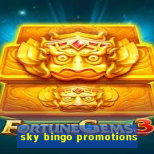 sky bingo promotions