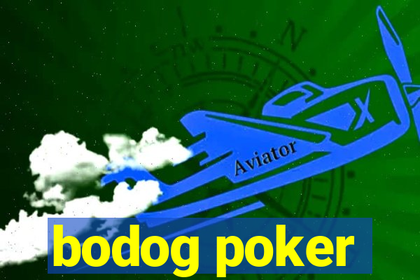 bodog poker