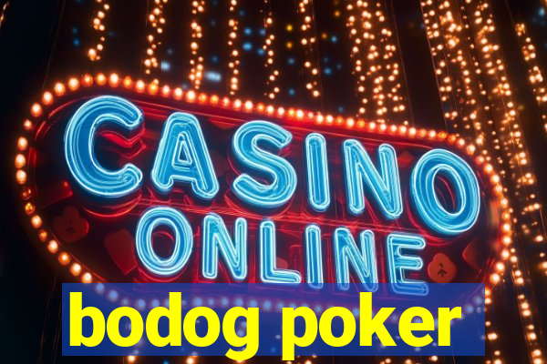 bodog poker