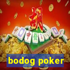 bodog poker