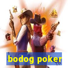 bodog poker