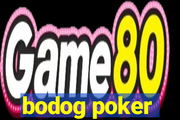 bodog poker