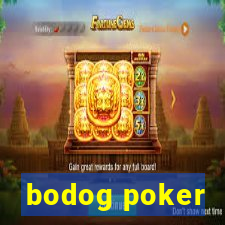 bodog poker