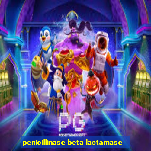 penicillinase beta lactamase