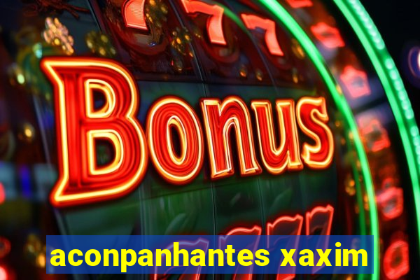 aconpanhantes xaxim