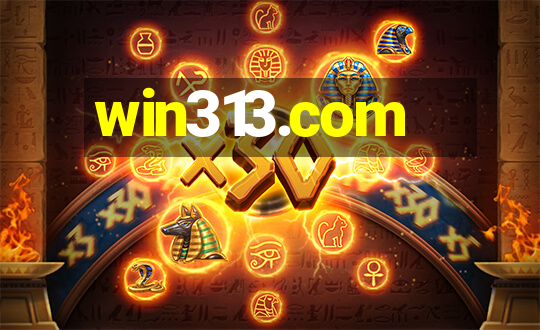 win313.com