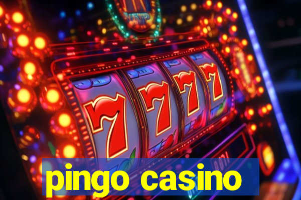 pingo casino