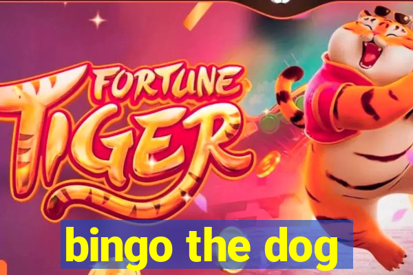 bingo the dog