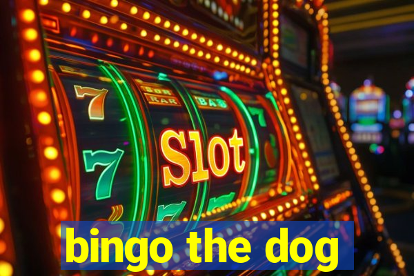 bingo the dog