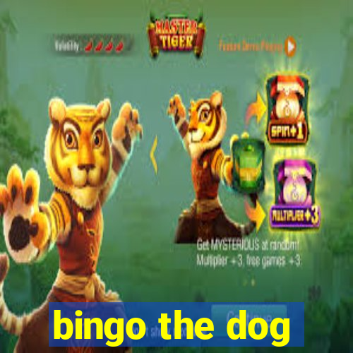 bingo the dog