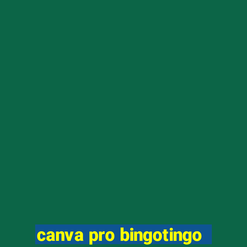 canva pro bingotingo