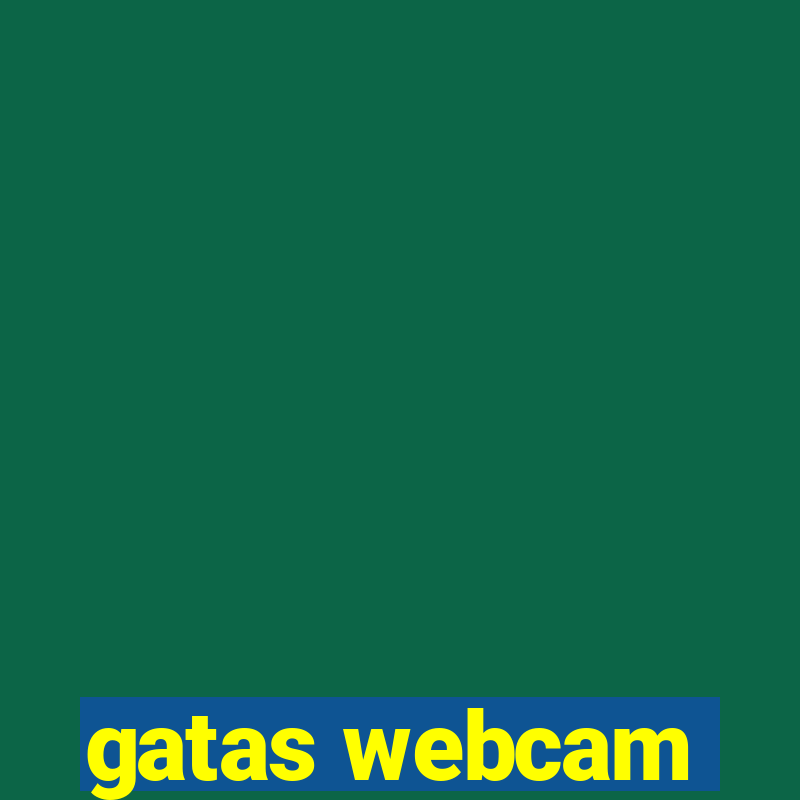 gatas webcam