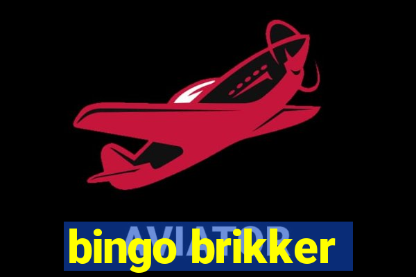 bingo brikker