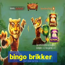 bingo brikker