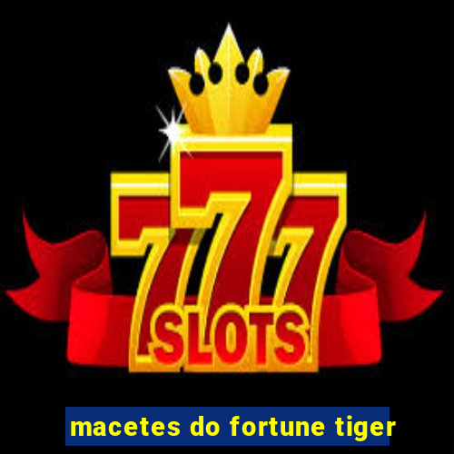 macetes do fortune tiger