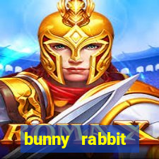 bunny rabbit game