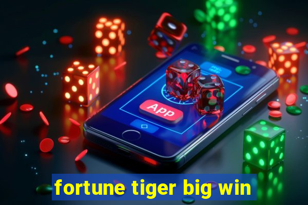 fortune tiger big win