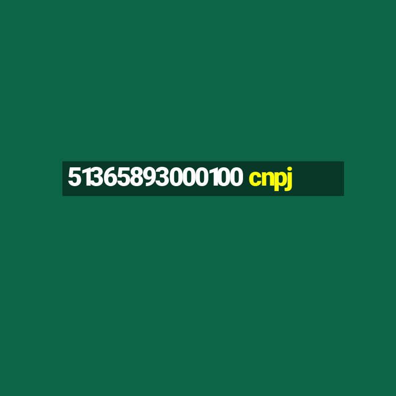 51365893000100 cnpj