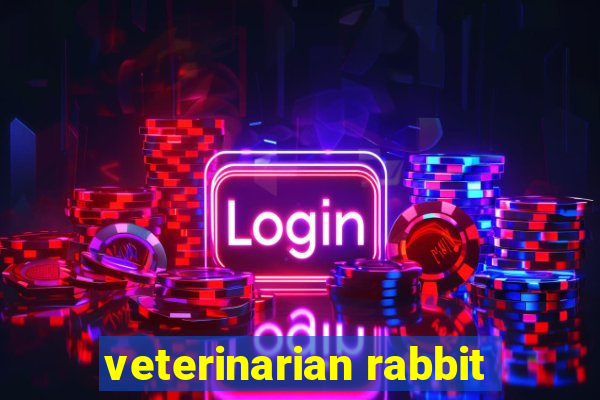 veterinarian rabbit