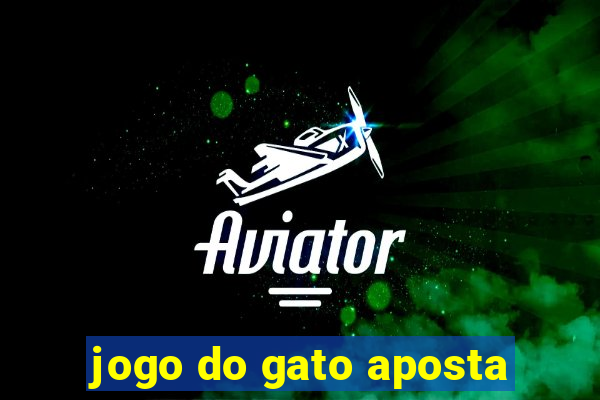 jogo do gato aposta