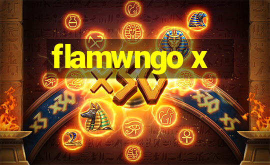 flamwngo x