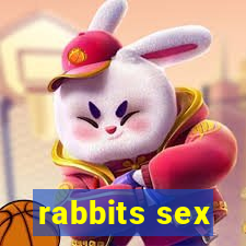 rabbits sex