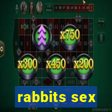 rabbits sex