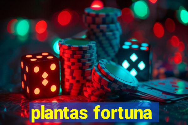 plantas fortuna