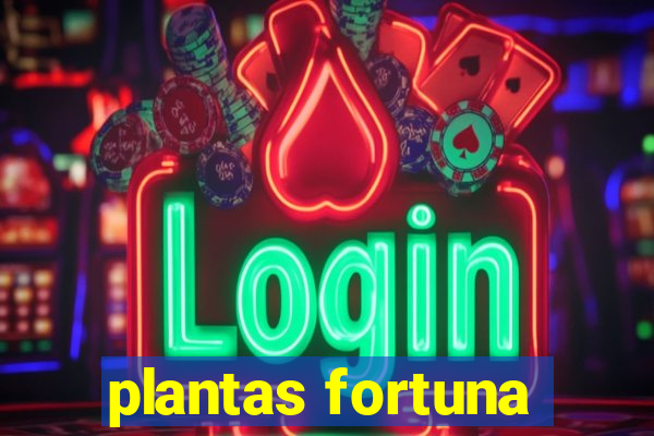 plantas fortuna