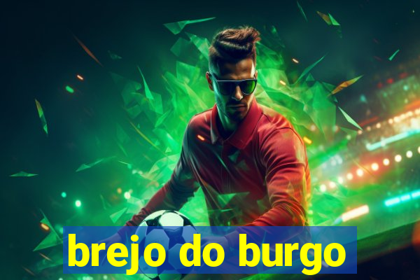 brejo do burgo