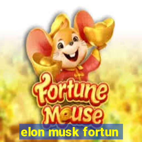 elon musk fortun