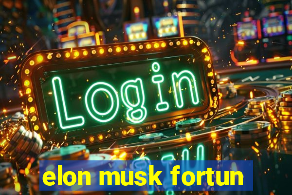 elon musk fortun