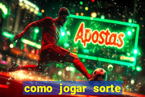 como jogar sorte do dia