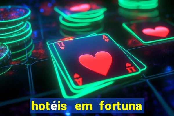 hotéis em fortuna de minas