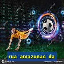 rua amazonas da silva, 737