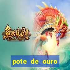 pote de ouro fortune tiger