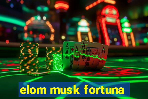 elom musk fortuna