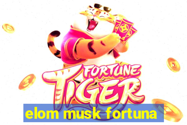 elom musk fortuna