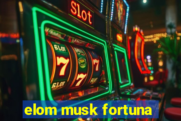 elom musk fortuna