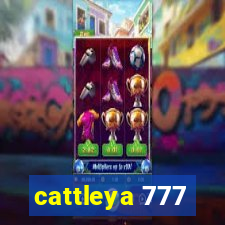 cattleya 777