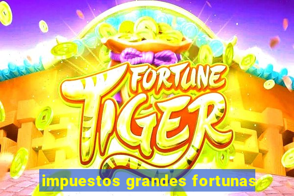 impuestos grandes fortunas