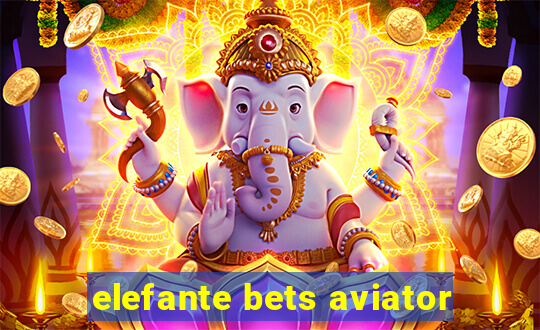 elefante bets aviator