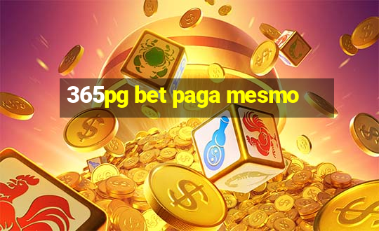 365pg bet paga mesmo