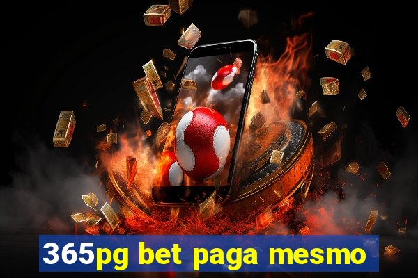 365pg bet paga mesmo