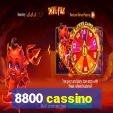 8800 cassino