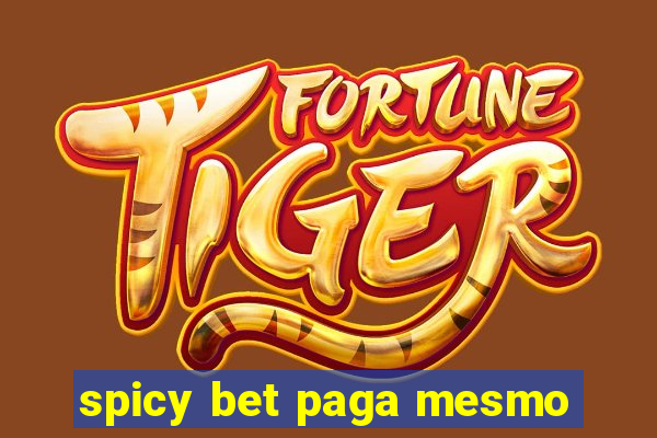 spicy bet paga mesmo