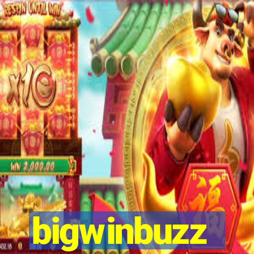 bigwinbuzz