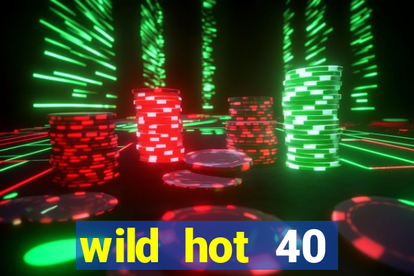 wild hot 40 christmas slot