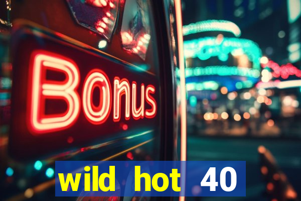 wild hot 40 christmas slot